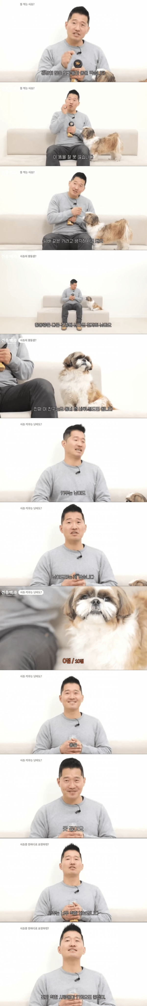 강형욱이 말하는 시츄 특징
