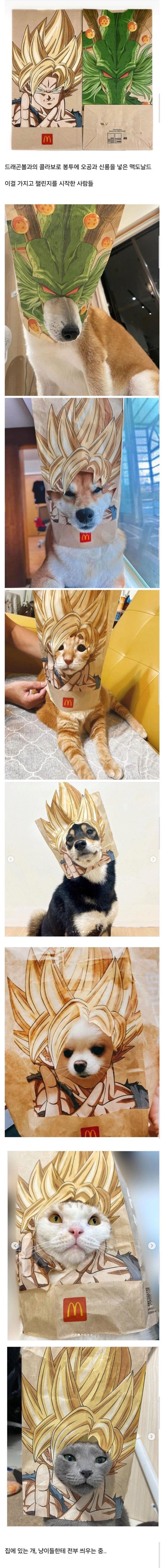 대만 맥도날드에서 난리난 것