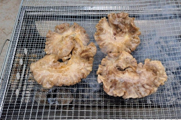 실제로 정육업 하는 사람들도 돈 주고 버린다는 부위