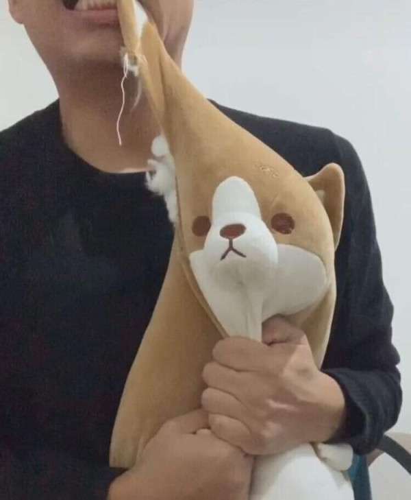 멍멍이의 만행을 두고볼수 없었던 주인
