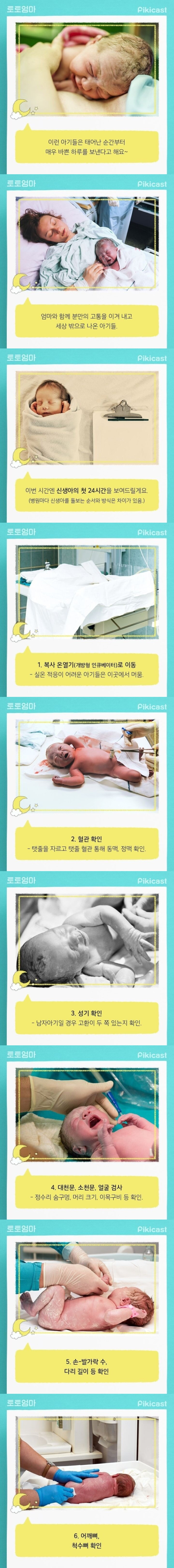 갓 세상에 나온 아이의 24시간