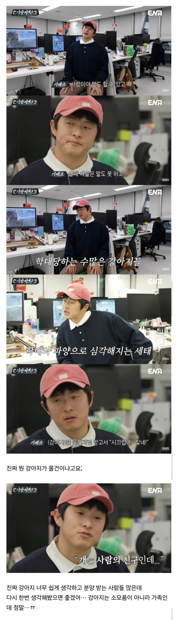 유기견 봉사활동 갔다가 소신발언한 기안84