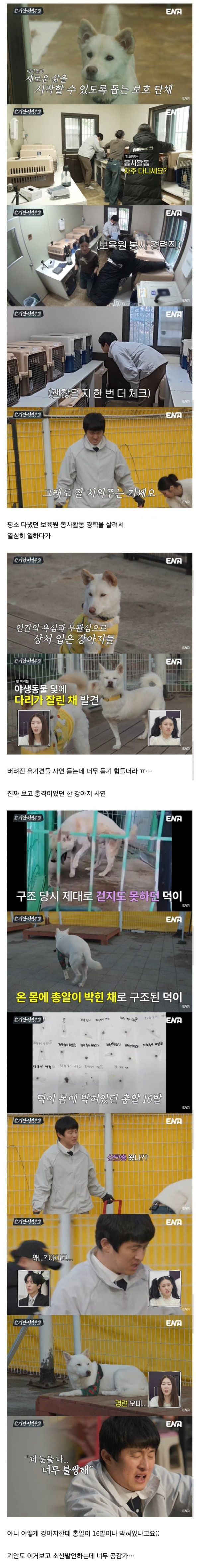 유기견 봉사활동 갔다가 소신발언한 기안84