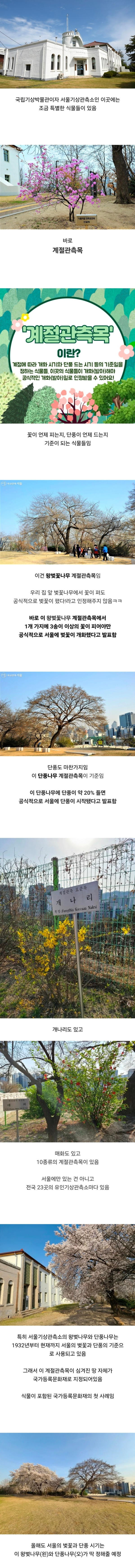 조금 특별한 식물이 있는 서울기상관측소