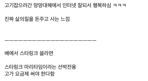 스타링크 인터넷 요금 82만원 나온사람
