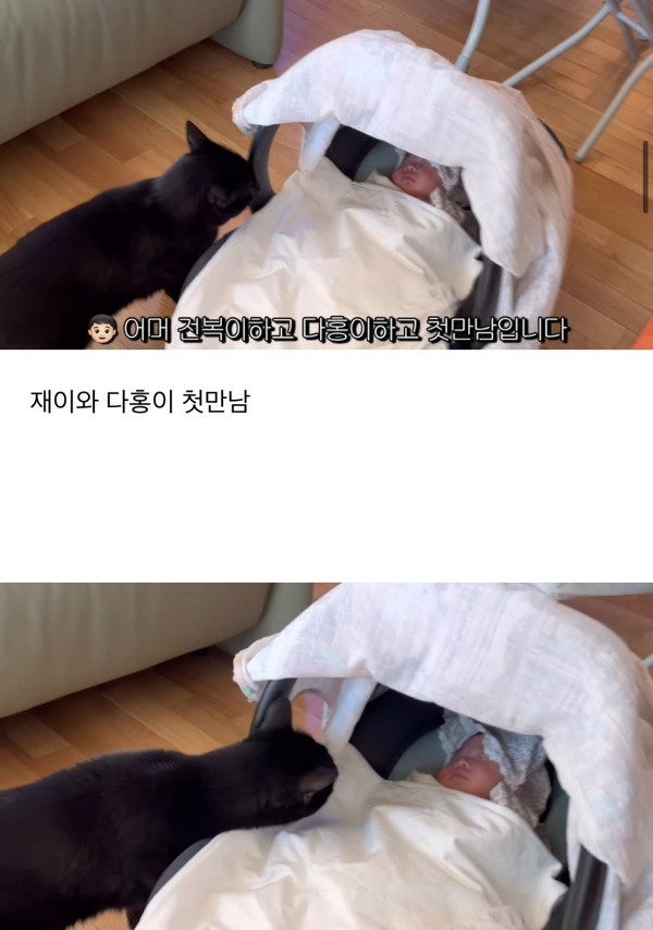 네 식구가 된 박수홍집