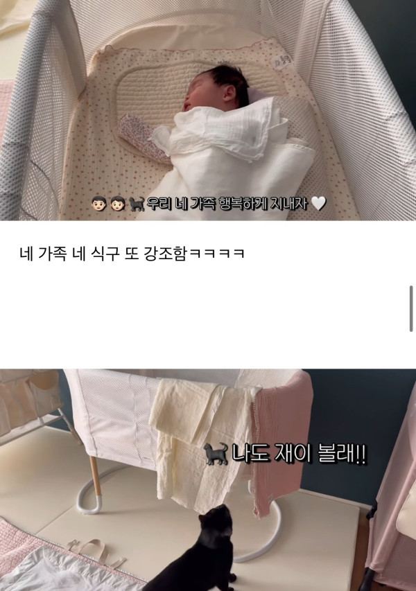 네 식구가 된 박수홍집