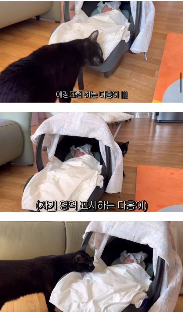 네 식구가 된 박수홍집