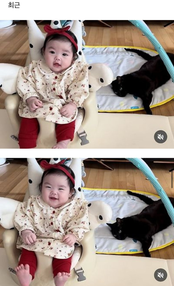 네 식구가 된 박수홍집