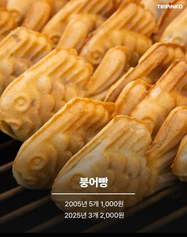 2005 VS 2025 물가 비교