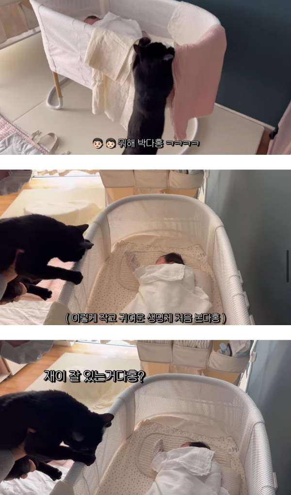 네 식구가 된 박수홍집