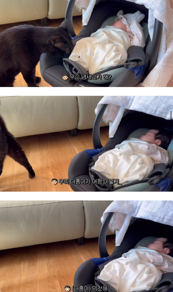 네 식구가 된 박수홍집