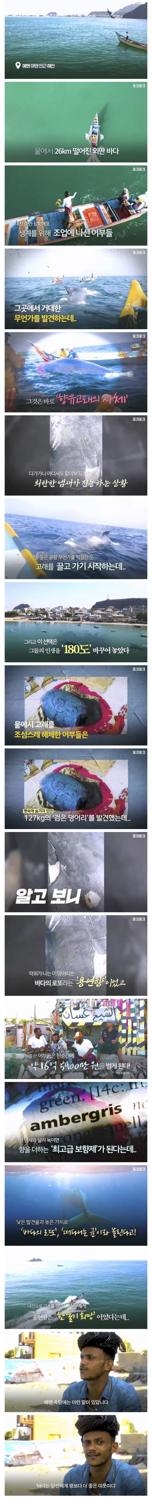 바다에서 로또 맞은 예멘 어부들