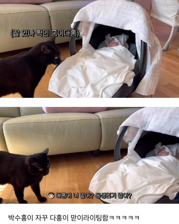 네 식구가 된 박수홍집