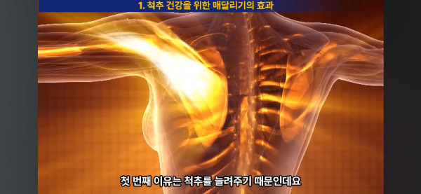 매달리기를 하면 좋은 이유