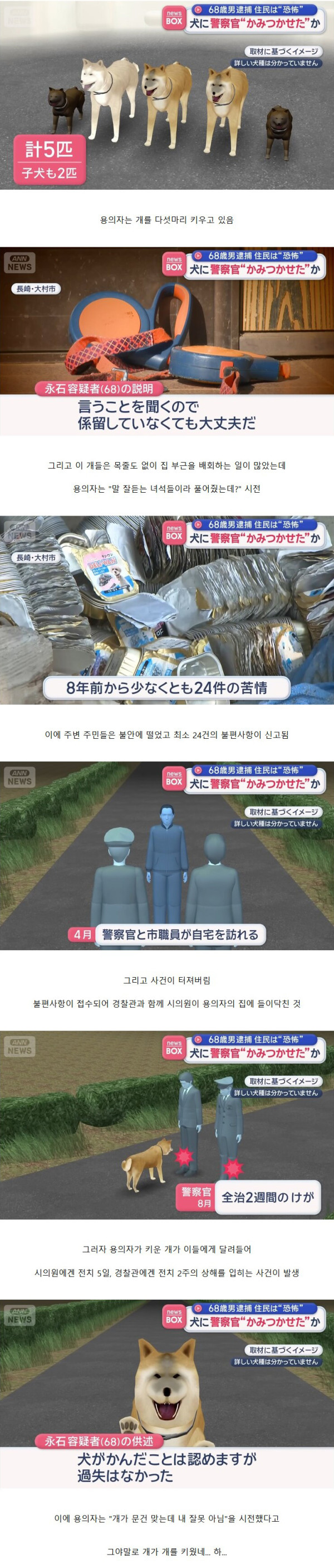 개가 개를 키우는 상황