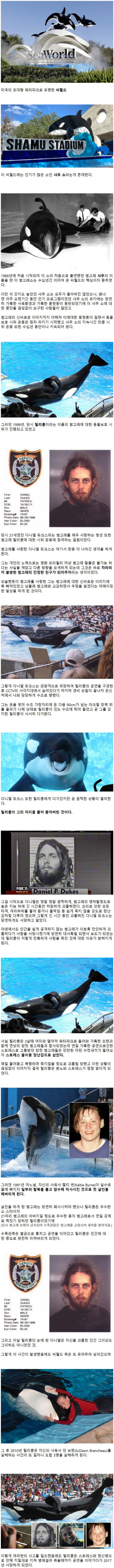 범고래와 친구가 되려했던 미국인