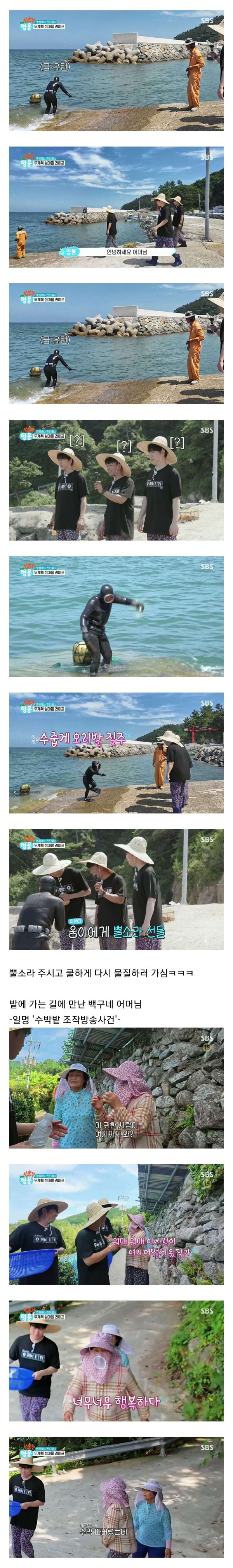 임영웅을 만난 섬마을 어머님들