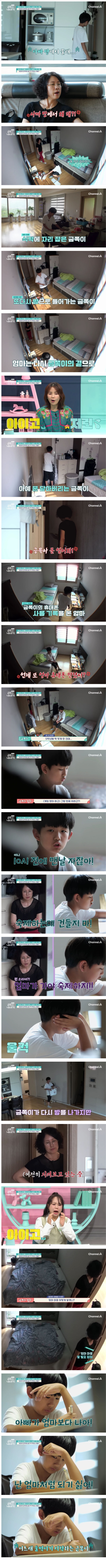 가장 순한맛이었던 금쪽이