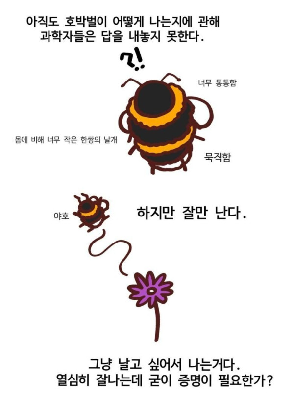 곤충들 중 귀여움류 1티어