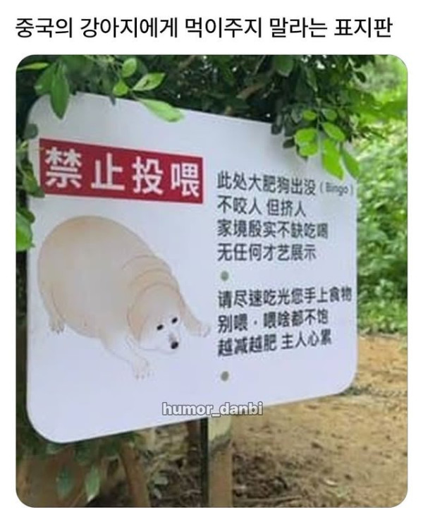 강아지에게 먹이 주지말라는 표지판