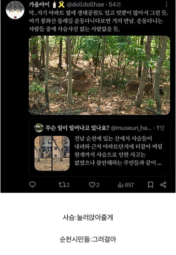 좋은 일을 해서 축복받은 듯한 도시