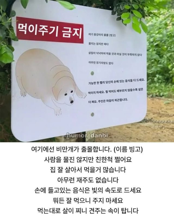 강아지에게 먹이 주지말라는 표지판