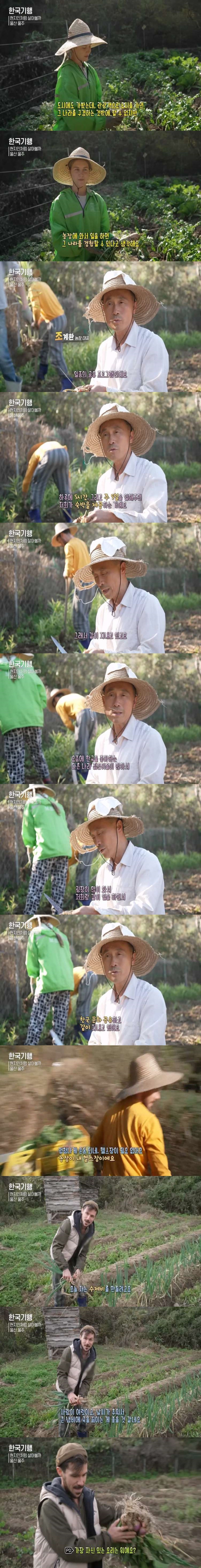 한국에서 농사일하는 백인들