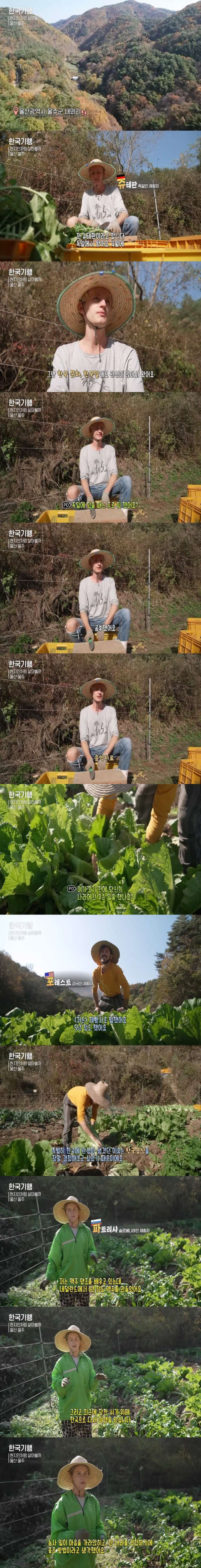 한국에서 농사일하는 백인들