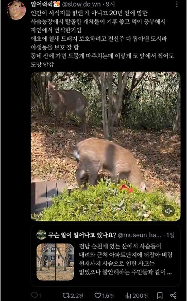 좋은 일을 해서 축복받은 듯한 도시