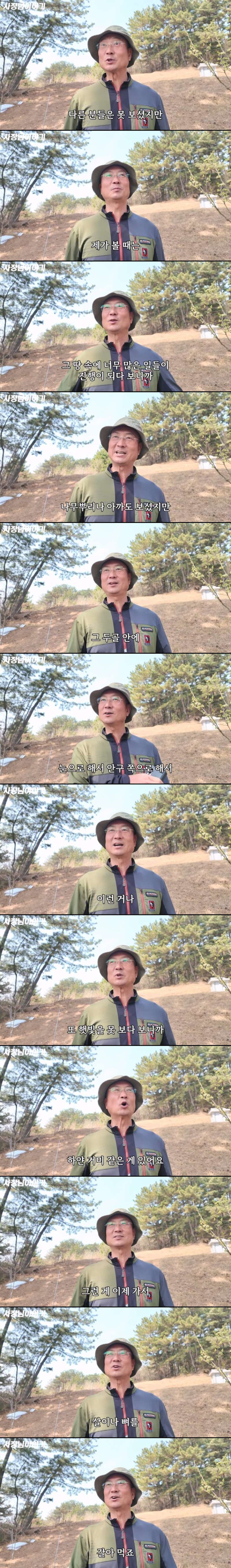 전문가가 말하는 죽으면 산에다 매장하지말고 그냥 화장하는게 좋은 이유