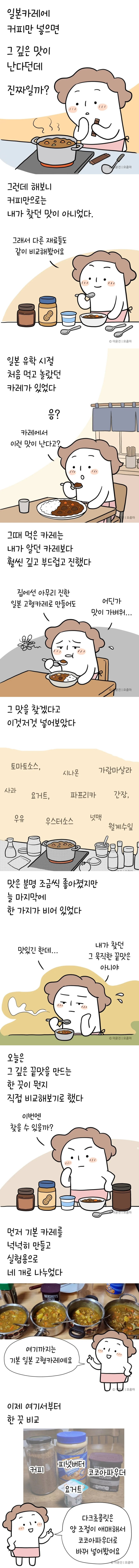 일본에서 먹었던 카레 맛 재현에 성공했다는 아주머니