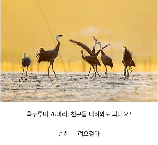 좋은 일을 해서 축복받은 듯한 도시