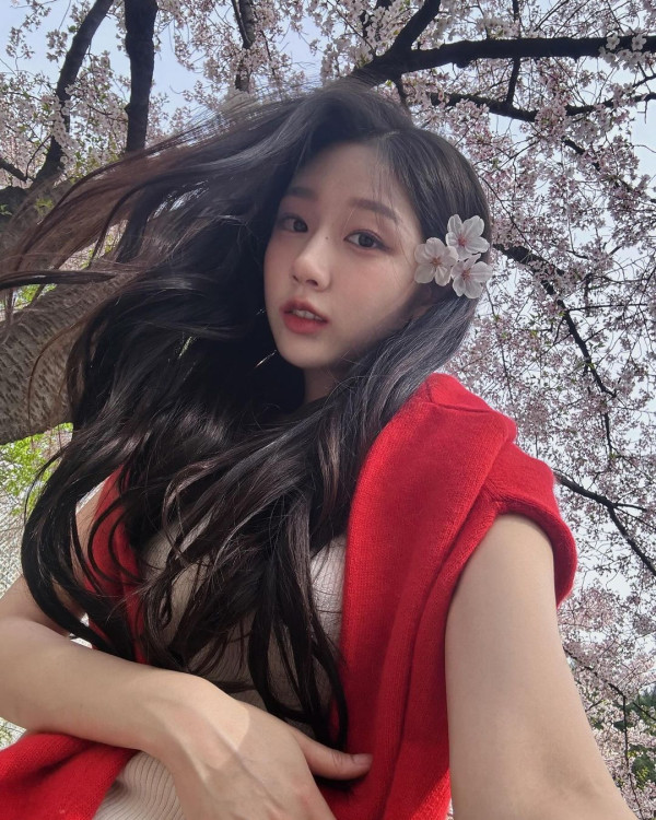 벚꽃 보러 간 고라니 정예인