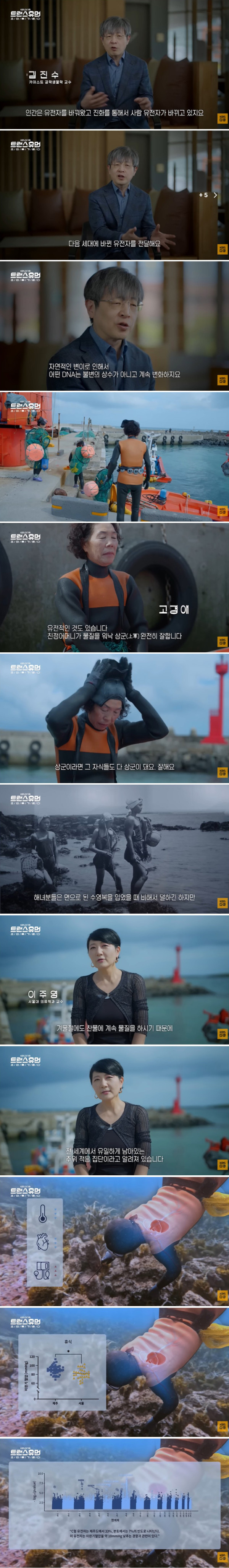 너무 놀라워서 해외에서 연구감이라는 우리나라 직업