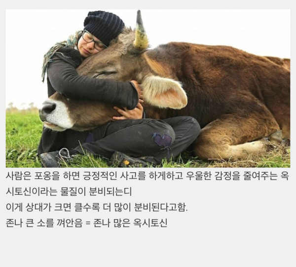 정서적으로 안정을 준다는 소