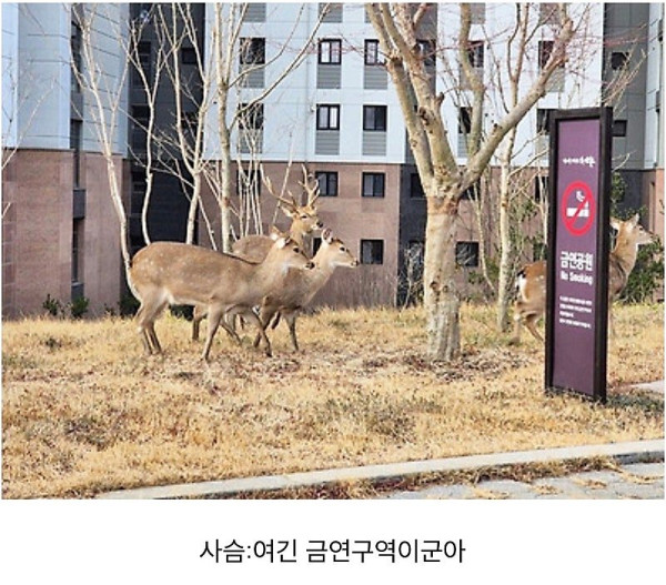좋은 일을 해서 축복받은 듯한 도시