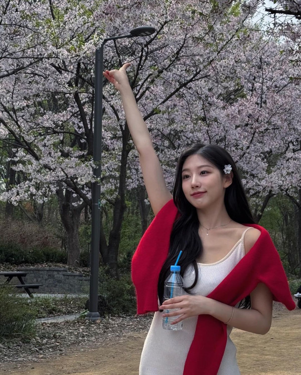 벚꽃 보러 간 고라니 정예인