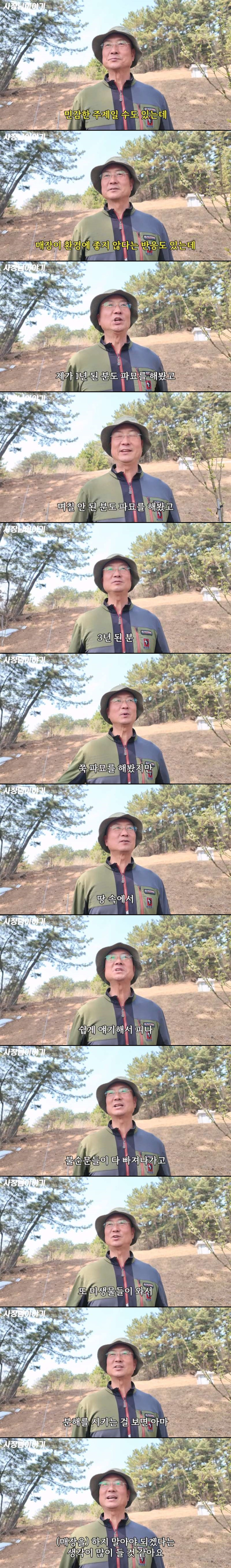 전문가가 말하는 죽으면 산에다 매장하지말고 그냥 화장하는게 좋은 이유