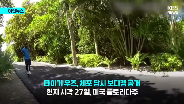 타이거우즈 근황