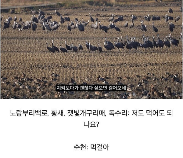 좋은 일을 해서 축복받은 듯한 도시