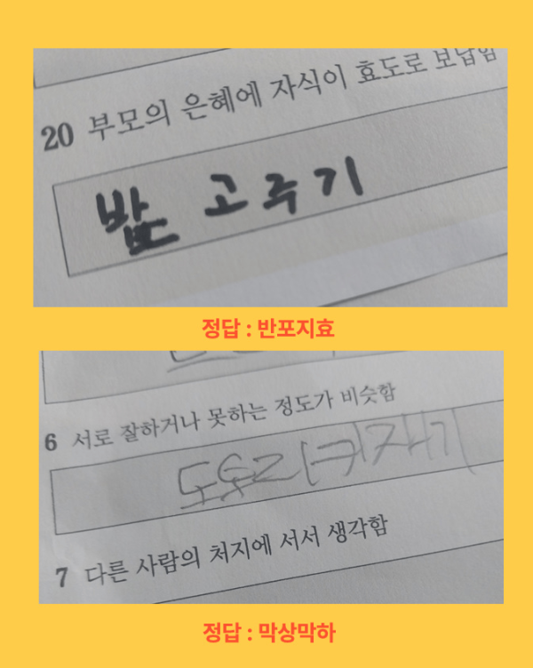 사자성어 시험 본 어린이들