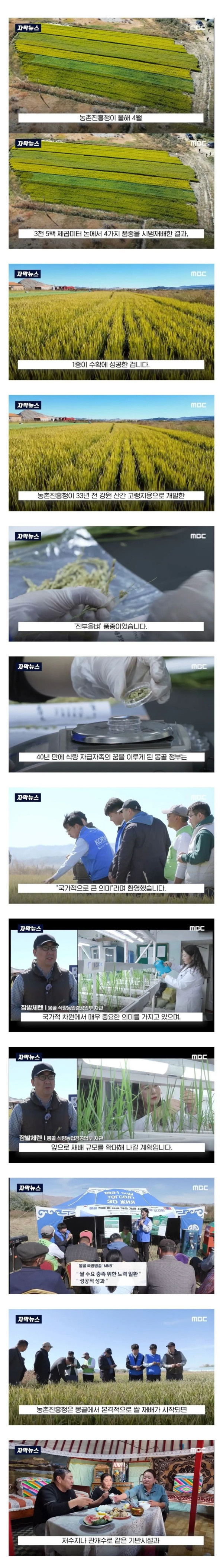 몽골이 한국을 좋아하는 이유