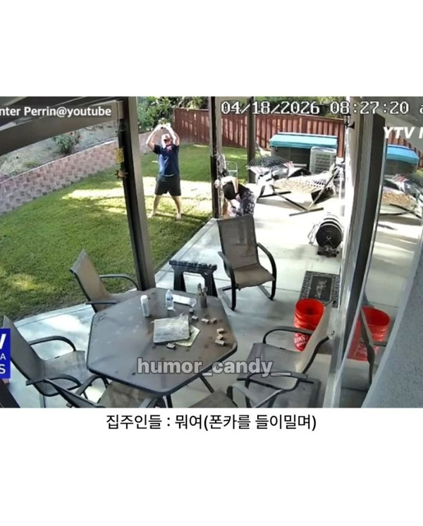 집 마당에 사람 탄 열기구 착륙함