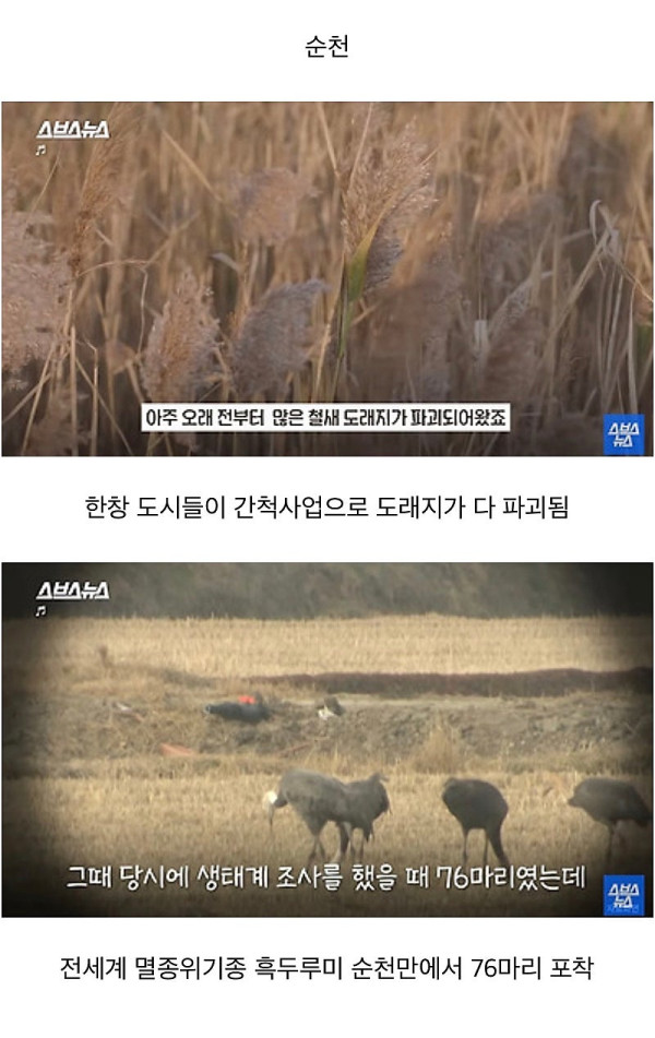 좋은 일을 해서 축복받은 듯한 도시