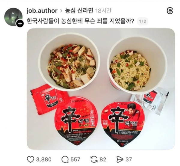 일본 신라면 vs 한국 신라면