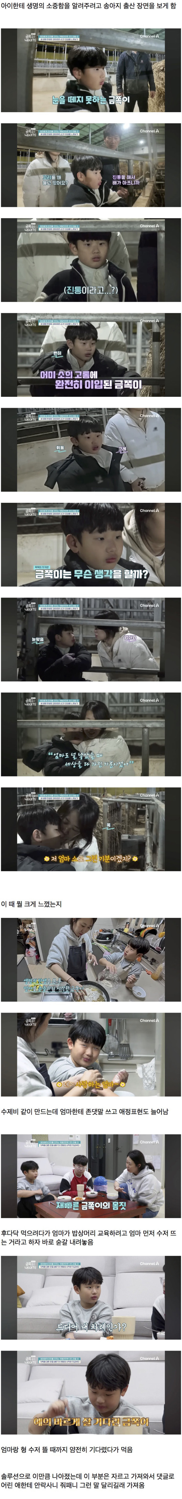 범죄자 될 가능성 있는 금쪽이 솔루션 결과