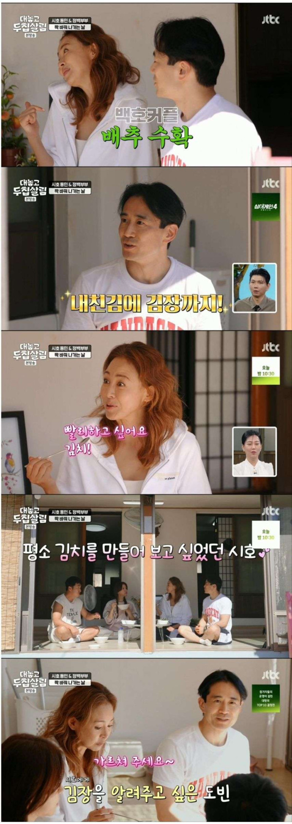 한국 와서 배추 김장 처음 해보는 야노 시호