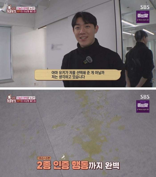 잘생긴 남자만 보면 질질 싸는 시바견