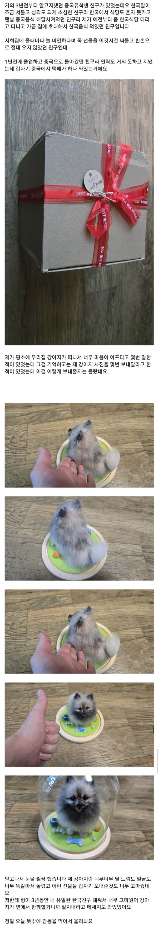 죽은 강아지 사진을 보내달라한 외국인 동생